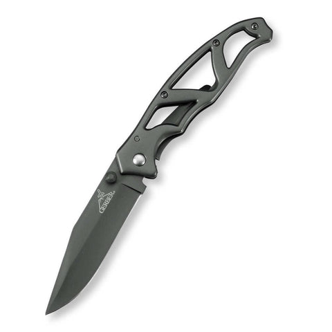 Paraframe I Folding Knife - Ti-grey, Fine Edge 3"