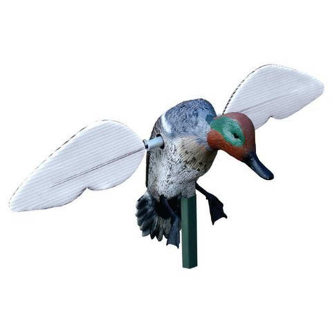 Teal Decoy