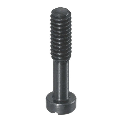 Ruger 10-22 Takedown Screw (b65)