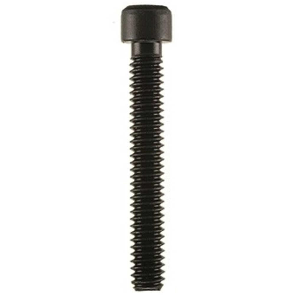 Ruger 10-22 Barrel Retainer Screw (b67