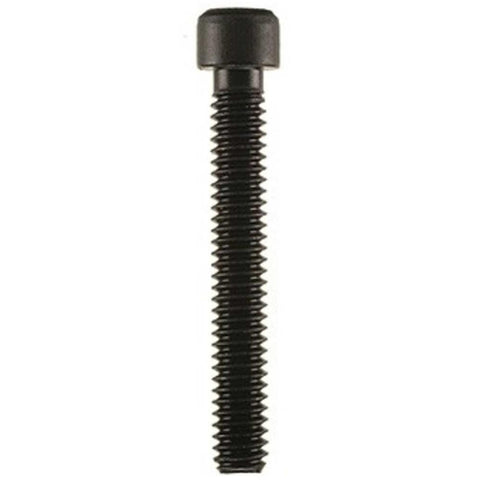 Ruger 10-22 Barrel Retainer Screw (b67