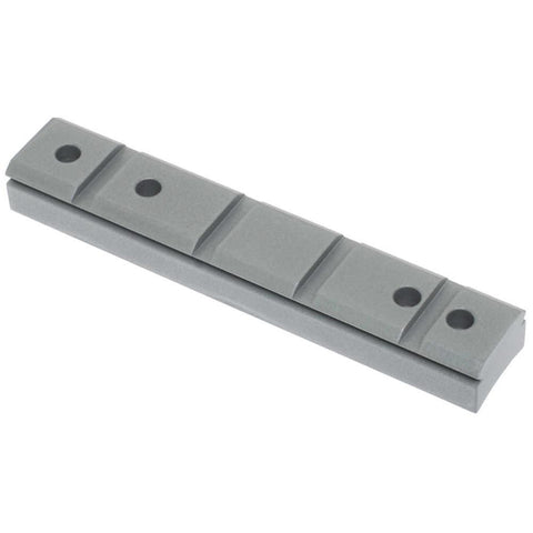 Silver Receiver Mount For Ruger 10-22 22 Lr